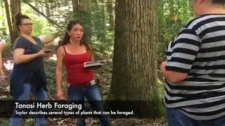Tanasi Herb Foraging - Michelle Bouton | September 16, 2017