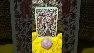 Beautiful Message From Lord Krishna (29.12.2025)