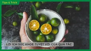Bổ sung QUẢ TẮC (QUẤT) vào bữa ăn, bạn sẽ nhận NHỮNG LỢI ÍCH SỨC KHOẺ tuyệt vời này - Bách hoá XANH