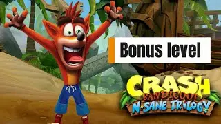 Crash Bandicoot 1 bonus level