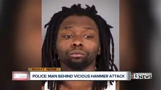 Police search for more potential victims after hammer attack