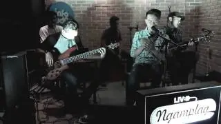 Live Ngamplag  