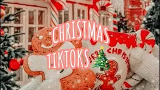 ✨Christmas TikTok’s🎄☃️