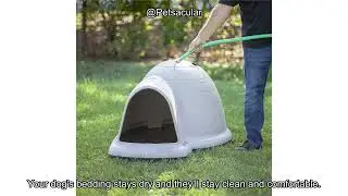Petmate Large Dog House Review: Is This Weatherproof Igloo Worth the Investment?