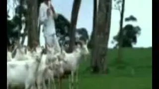 samir pai