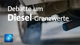 Diesel-Abgase: Lungen&auml;rzte kritisieren Grenzwerte