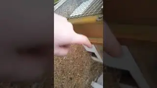 Vogels water geven