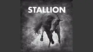 Stallion #7 (Original Mix)