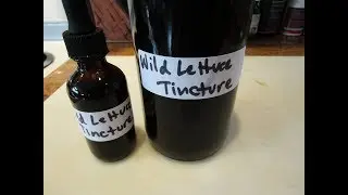 Making Wild Lettuce Pain Relief Tincture