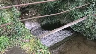 A brief exploration of the former Holwell Iron Works site.