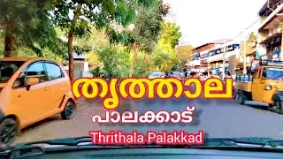 തൃത്താല വട്ടത്താണി -പട്ടാമ്പി റോഡ് // Thrithala Vattathani - Pattambi Road