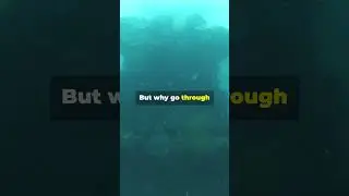 Transforming the SS United States into a reef