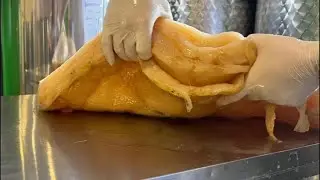 Comete el scoby (vinagre/ kombucha)