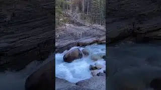 Mistaya Canyon Banff National Park 🇨🇦 explored, with Nature Sounds.#shorts