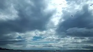 VID 20190616 160405