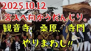 和泉市松尾連合　3町のだんじりが宮入へ向かう。