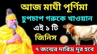 মাঘী পূর্ণিমার দিন চুপিচুপি এই ১ টি জিনিস গরুকে খাওয়ান। ৭ জন্মের দারিদ্র্য দূর হবে।