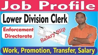 LOWER DIVISION CLERK I LDC In ENFORCEMENT DIRECTORATE I JOB PROFILE I SALARY I TRANSFER I PROMOTION