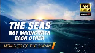 Scientific Miracles of the Quran #16 : The seas not mixing with each other
