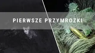 DIANA BYC 24/2025 Pierwsze przymrozki / The first frosts