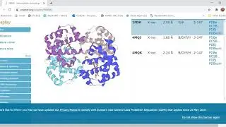 Download a protein's amino acid sequence in FASTA format from the UniProt site