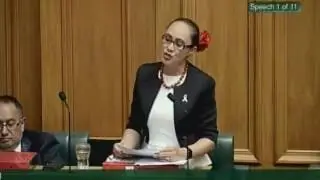 Education (Charter Schools Abolition) Amendment Bill - First reading - Part 1