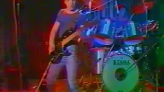 Lignito-Rock ACOLLA.Ciertas Tarantulas Torcidas.