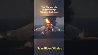Sign the Petition  