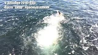 9 декабря 2018 года, бухта 