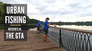 Grenadier Pond in Toronto | Urban Fishing Hotspots in The GTA