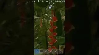 Rust Jungle Isn't Safe #rust #jungle #pvp #raid #survivalgame #wipe