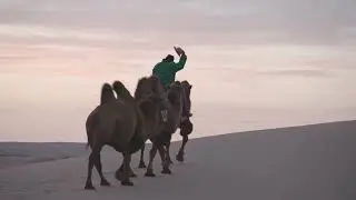 🏜️ Sandboard sur les dunes g&eacute;antes du Gobi &ndash; Jour 7 de notre exp&eacute;dition en Mongolie 🏄&zwj;♂️🌅