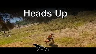 Heads Up