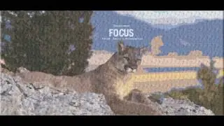 Rocksteeze - Focused Prod. Swirl x Afterparty