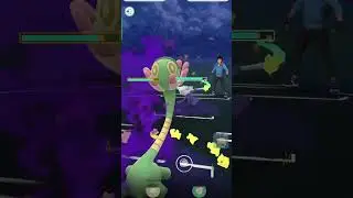 SHADOW SPICE 🌶 for SUNSHINE CUP 🌞 #pokemongo #gbl #gobattleleague #pogo #pokemon #sunshine cup #meta