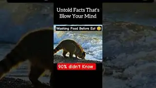 Mysteries Facts 🔥 that's Blow Your Mind 🤔 | animal facts | weird Facts #facts #usashorts #ytshorts