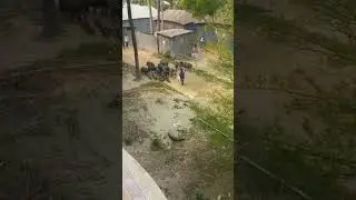 Village Environment Bangladesh - Infront my house. Natural beauty