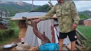(Đx(m977( gl c&acirc;y s&acirc;m đ&aacute; 500k LH 0707713796 Khương bonsai 