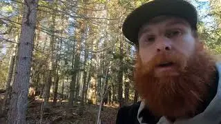 How to Bid Any Tree Job in 60 Seconds or Less