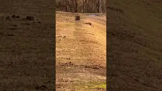 TenPoint Havoc 440 at 100 yards! #crossbow #tenpointcrossbows #hunting #shooting #subscribe
