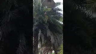 Shiv park hari Ashray Nagar #rameshuttam #utube #funny #park #nature #rain #song