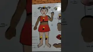 human body puzzle 🧩 gems #shorts  #viral