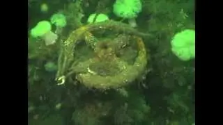 Akka wreck dive in the Clyde