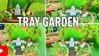 घर पर बनाएं खूबसूरत ट्रे गार्डन | Easy Tray Garden DIY🪴❣️🎍#gardening #diy #trending  #minigarden