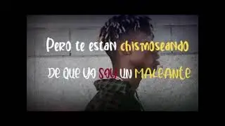 AMOR DE MALEANTE-EL TADICH (VIDEO LYRICS)LETRA
