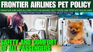 Политика авиакомпании Frontier Airlines в отношении домашних животных: всё, что вам нужно знать д...