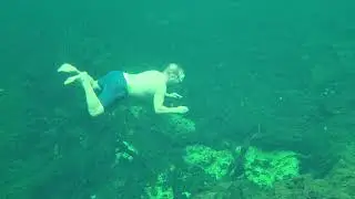 Poe Springs Dive #2  2021