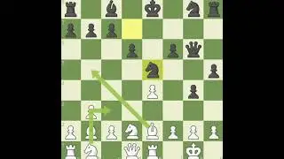king's pawn opening | king's Knight McConnell defense | mate in 20 moves