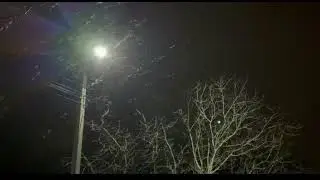 Володимир Сосюра 