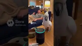 Попугай оформил заказ, пока хозяин спал😂🦜